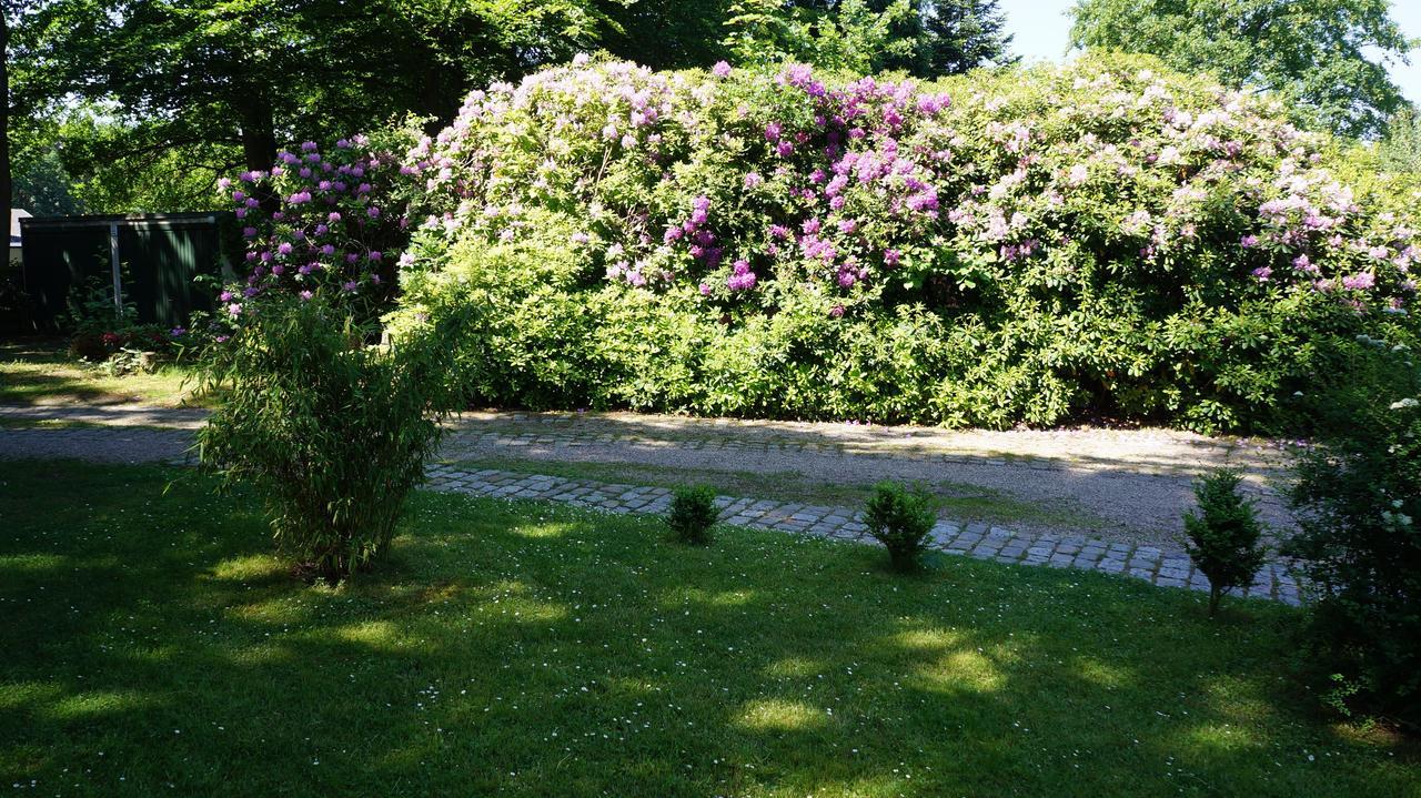 Exklusive Ferienwohnung Zwischen Uni Und Altstadt リューネブルク エクステリア 写真